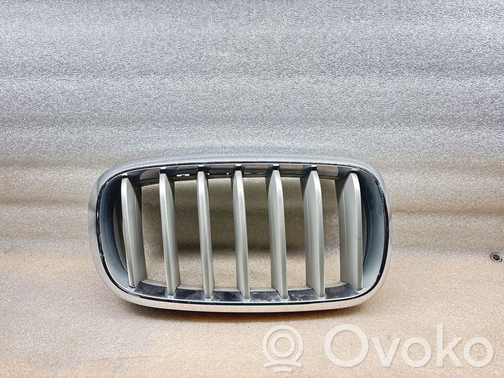 BMW X5 F15 Front grill 