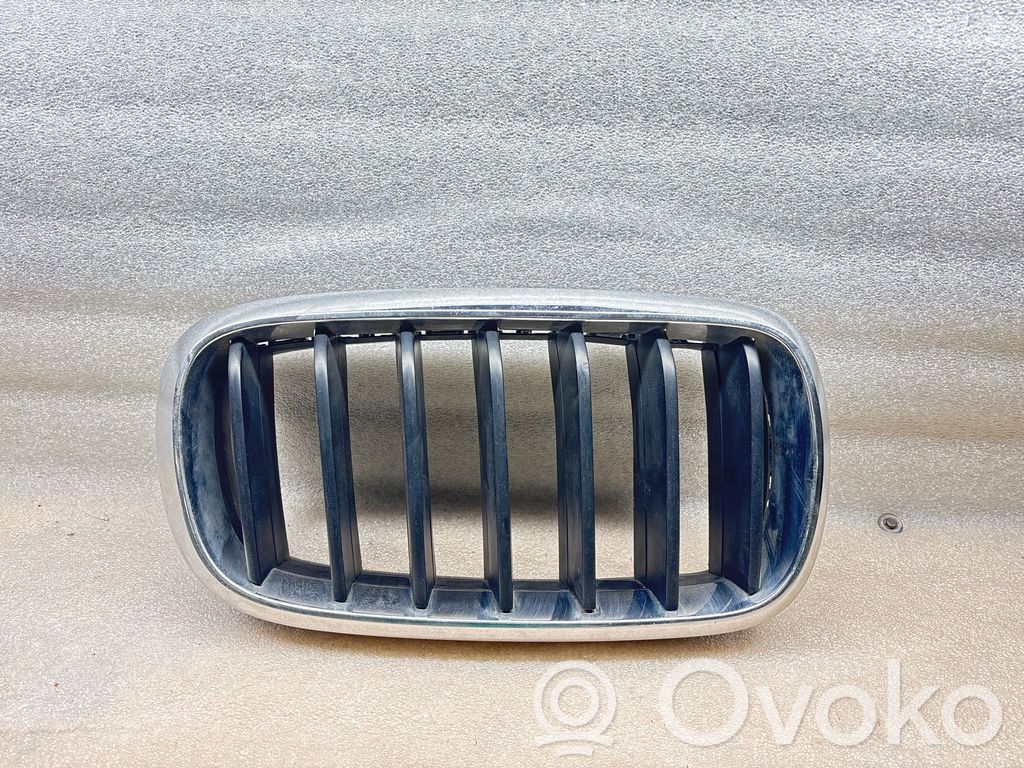 BMW X5 F15 Front grill 