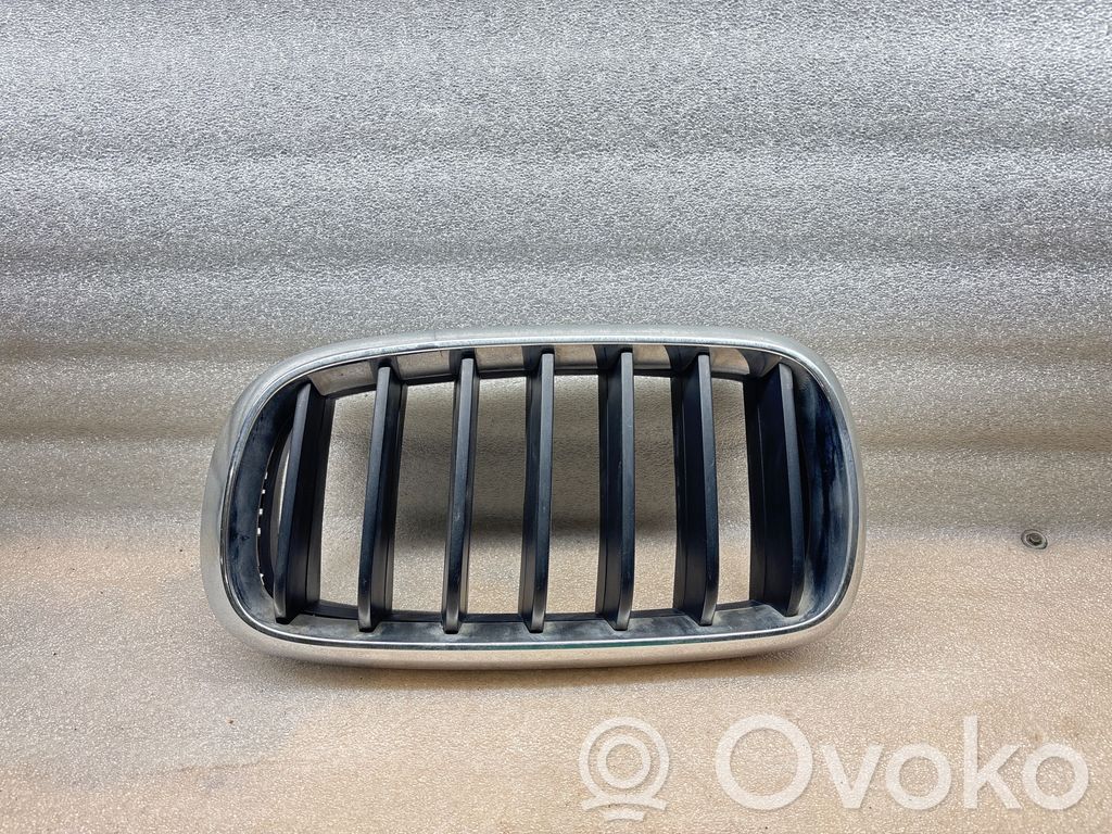 BMW X5 F15 Front grill 