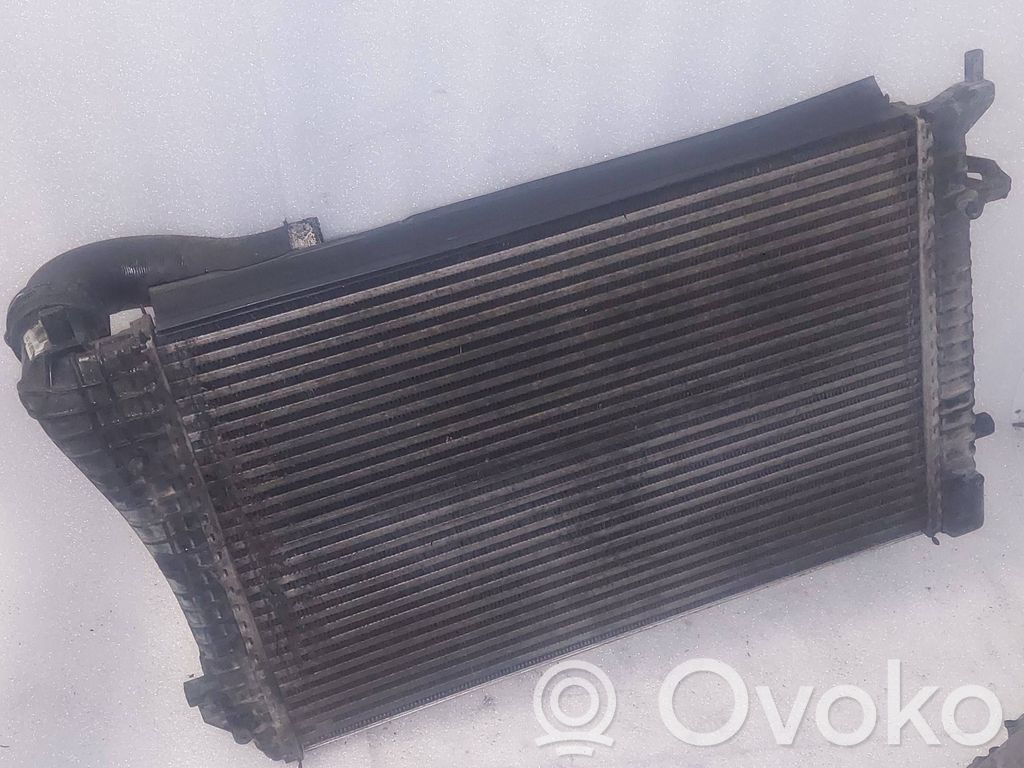 Volkswagen PASSAT B6 Interkūlerio radiatorius 