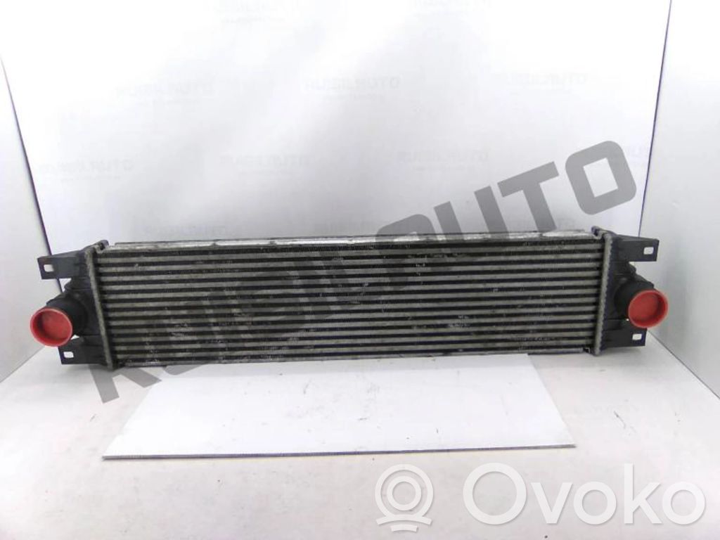 Intercooler radiator   874806M