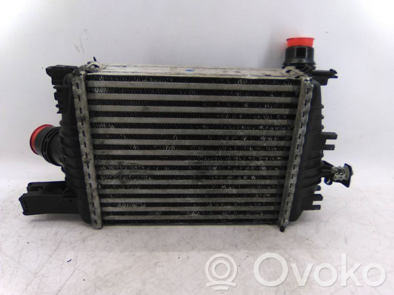 Intercooler radiator   144961381R