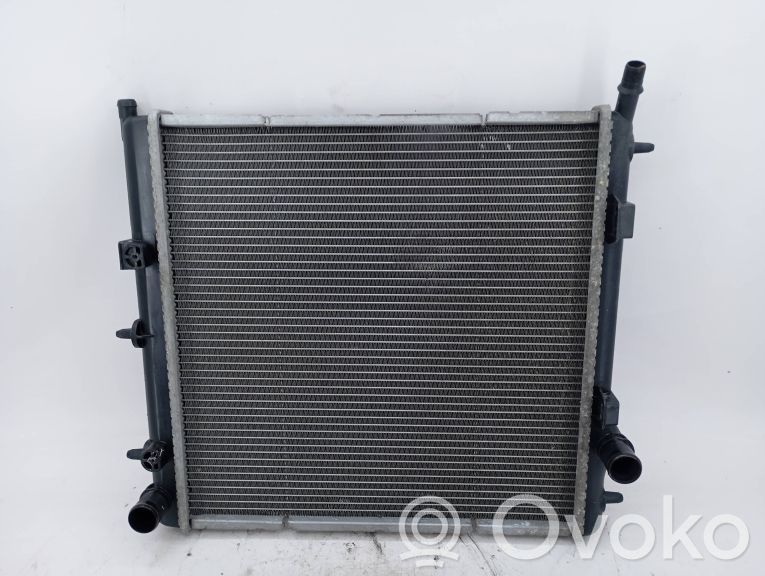 Citroen C2 Coolant radiator 