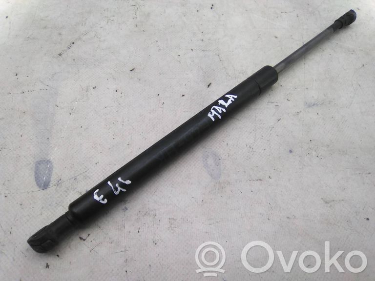 Tailgate/trunk strut/damper   8220075