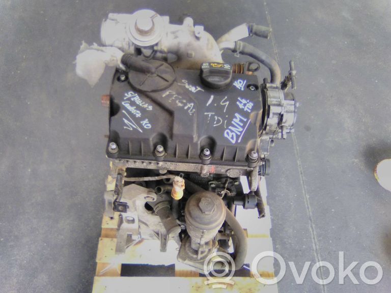 Seat Ibiza III (6L) Motor 