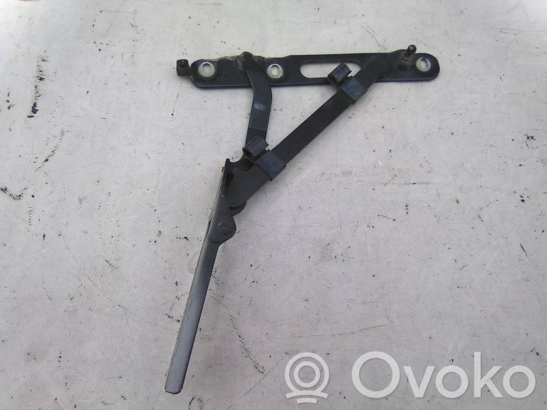 Tailgate hinge
