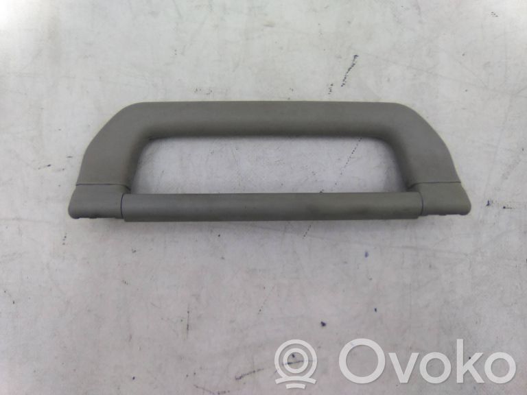 Haltegriff vorne   8102403
