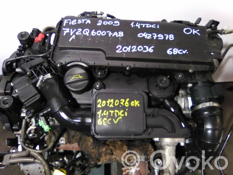 Ford Fiesta Silnik 