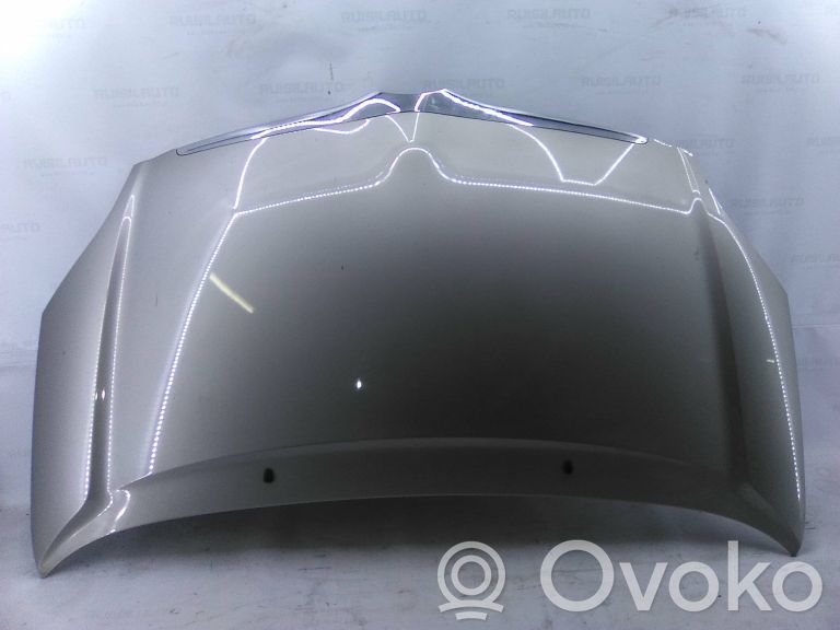 Motorhaube
