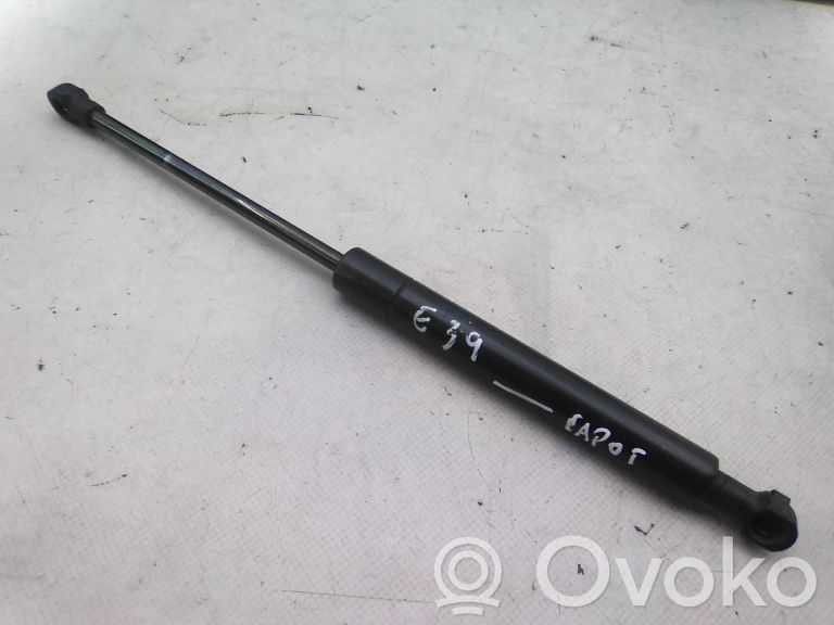 Amortizor capotă motor   8174866