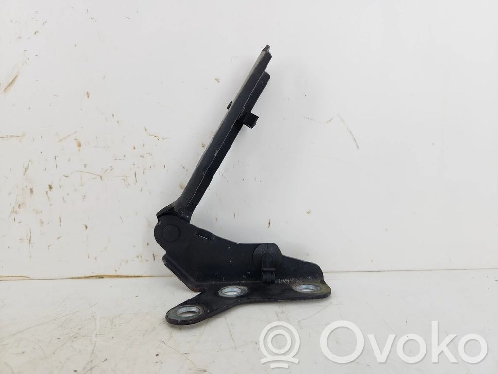 Volkswagen Polo IV 9N3 Cerniere del vano motore/cofano