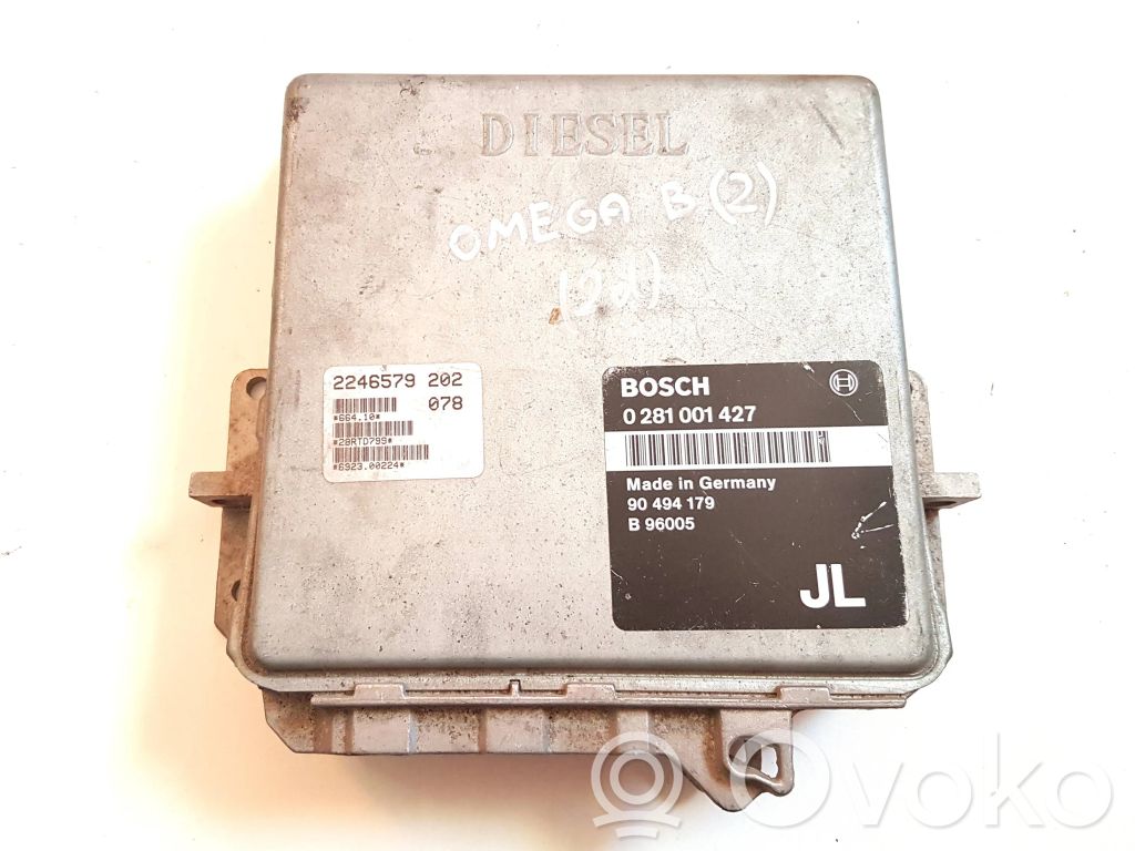 Chevrolet Omega B Engine control unit/module 
