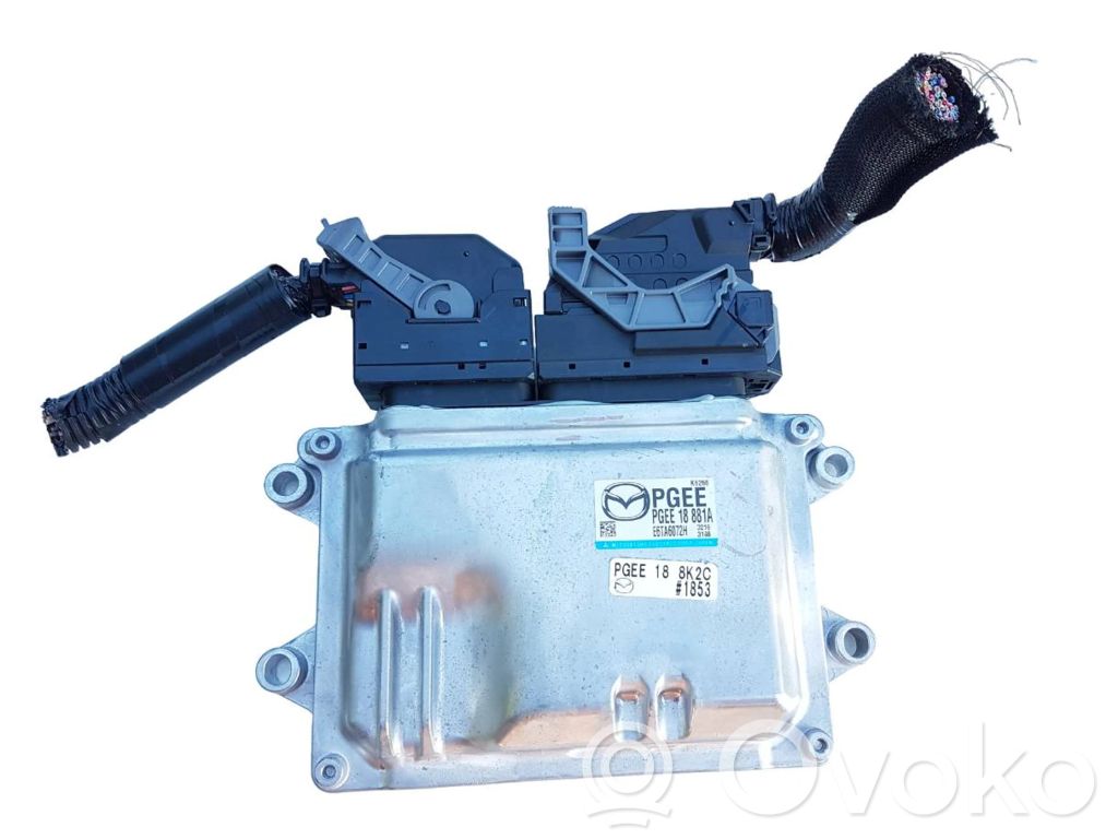 Engine control unit/module   PGEE18881A,E6TA6072H