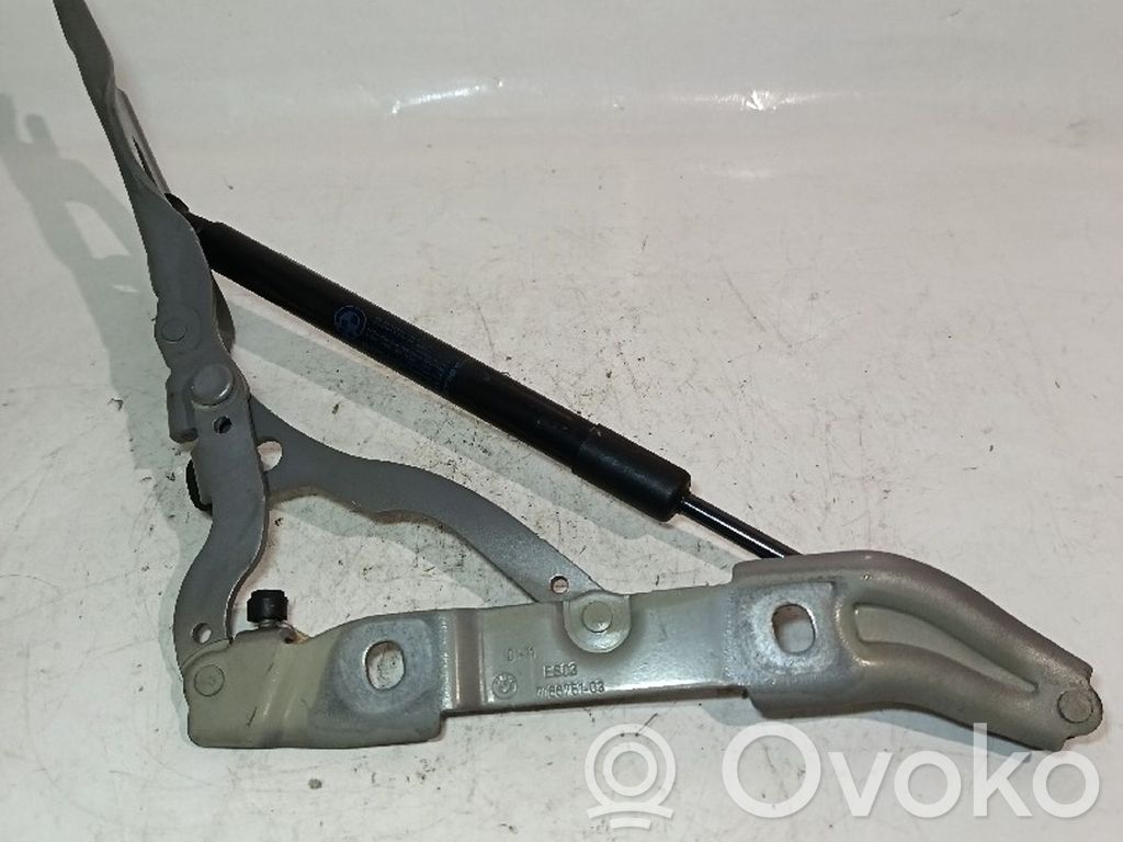 BMW 1 E82 E88 Engine bonnet/hood hinges 