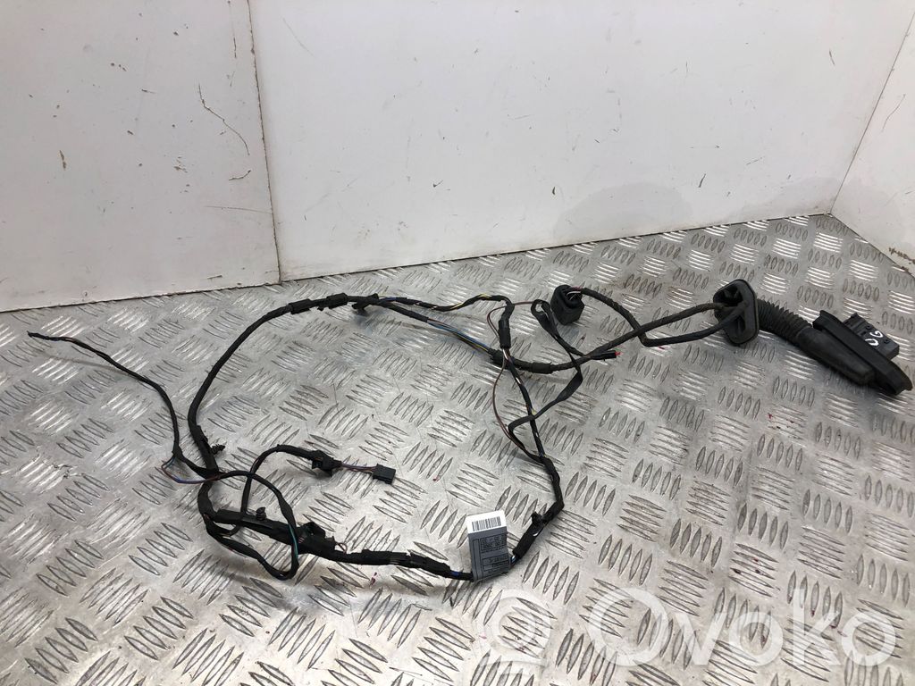 Cableado de puerta trasera   6928359