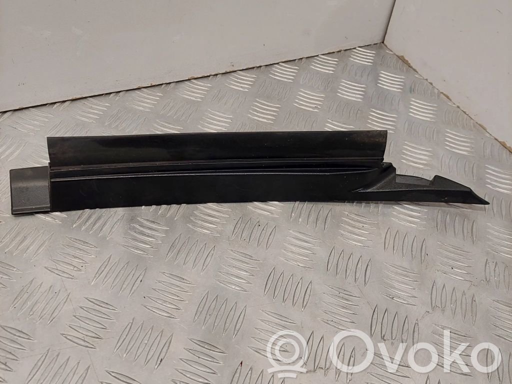 Tesla Model 3 Valytuvų apdaila (-os) 