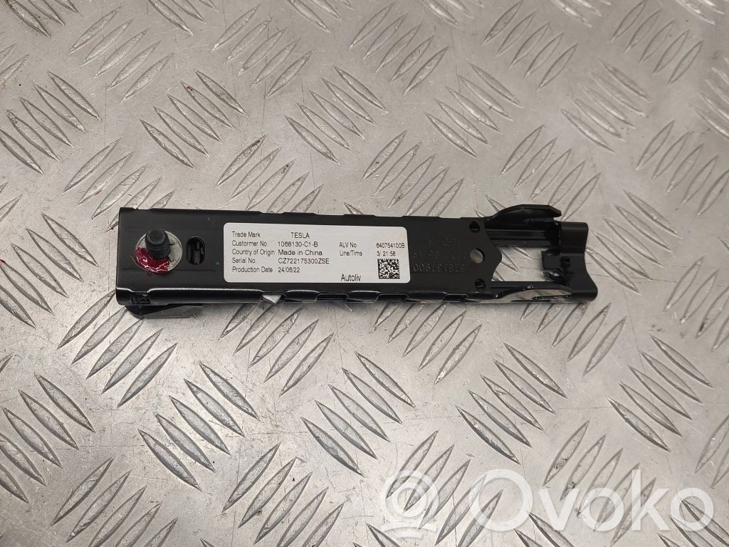 Tesla Model 3 Saugos diržo reguliavimo bėgelis 