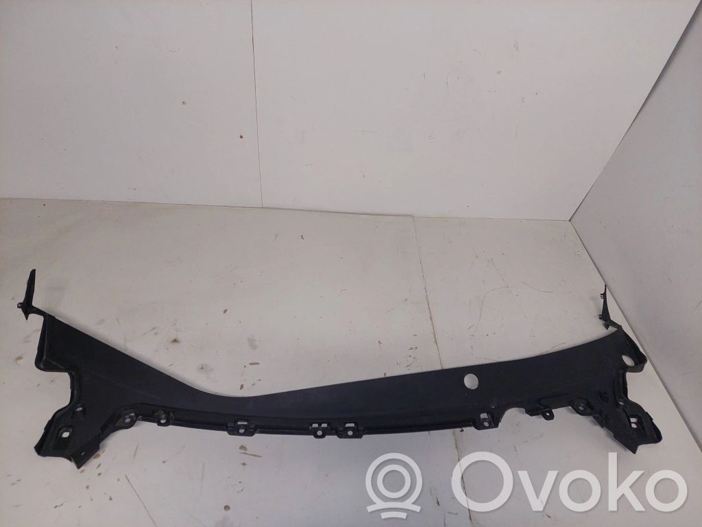 Tesla Model 3 Valytuvų apdaila (-os) 
