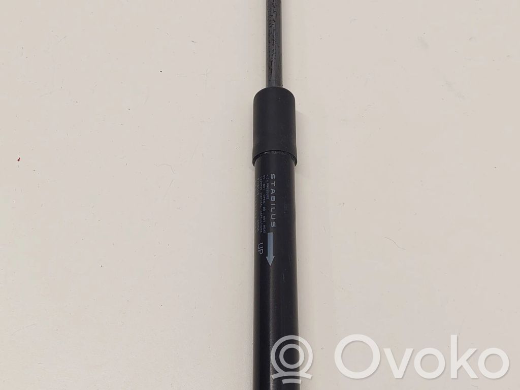 Tesla Model 3 Tailgate/trunk strut/damper 