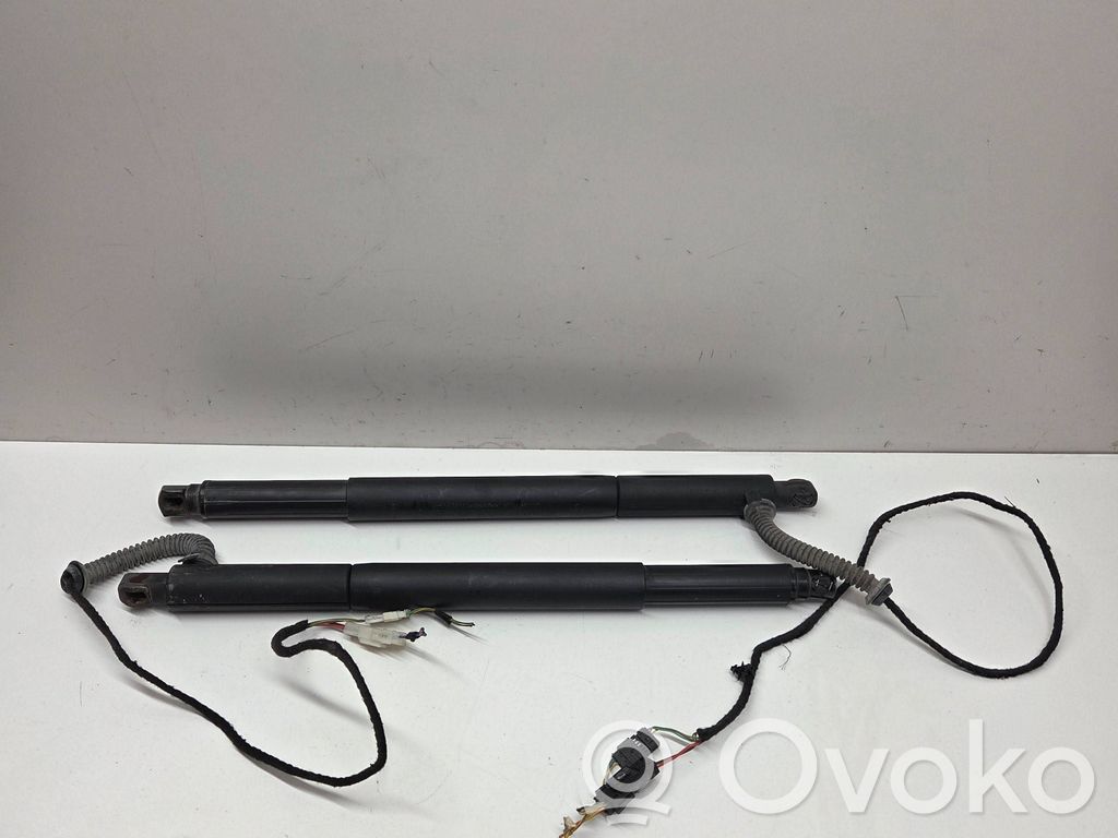 Tailgate/trunk strut/damper   7188490