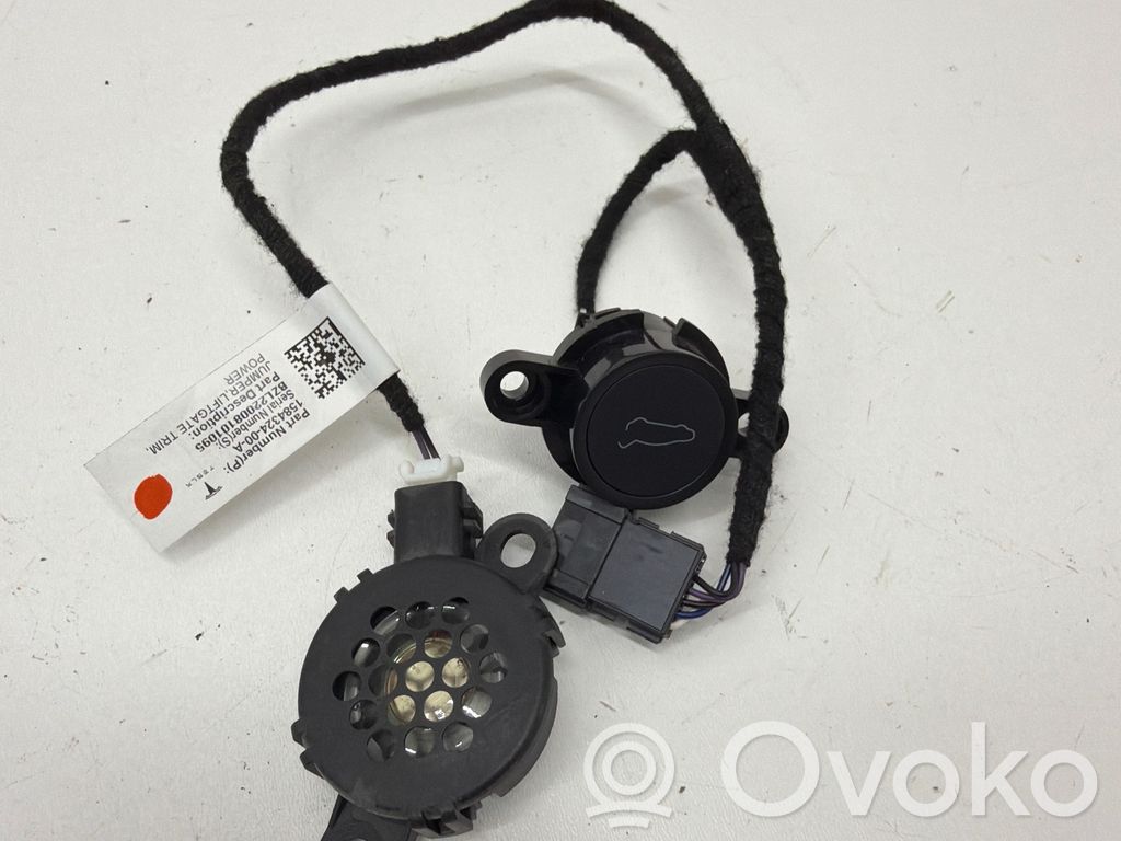 Tesla Model 3 Tailgate/trunk wiring harness 