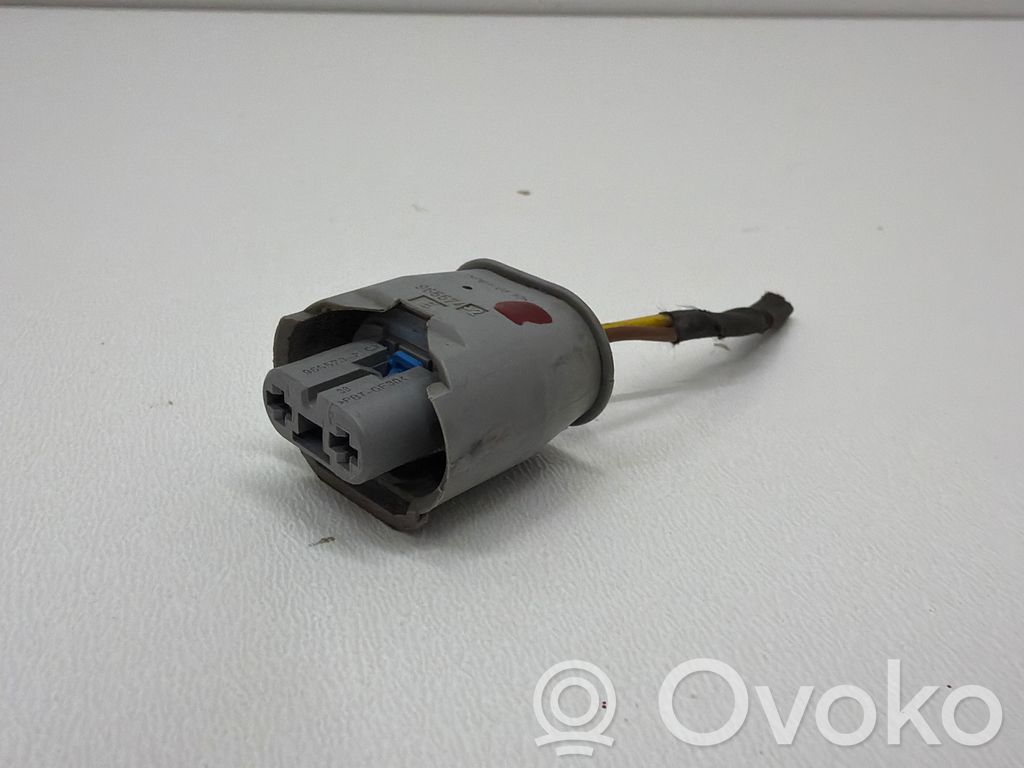 Miglas luktura spuldzīte   9655742