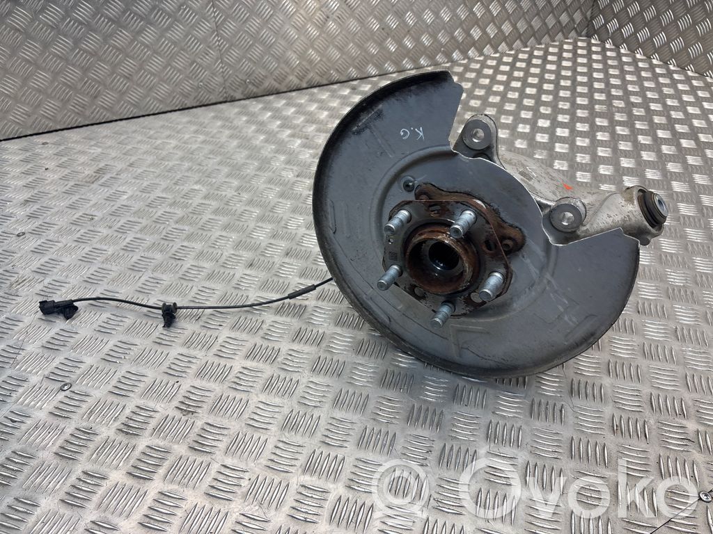 Cubo de rueda trasera   118841100,5280370002010