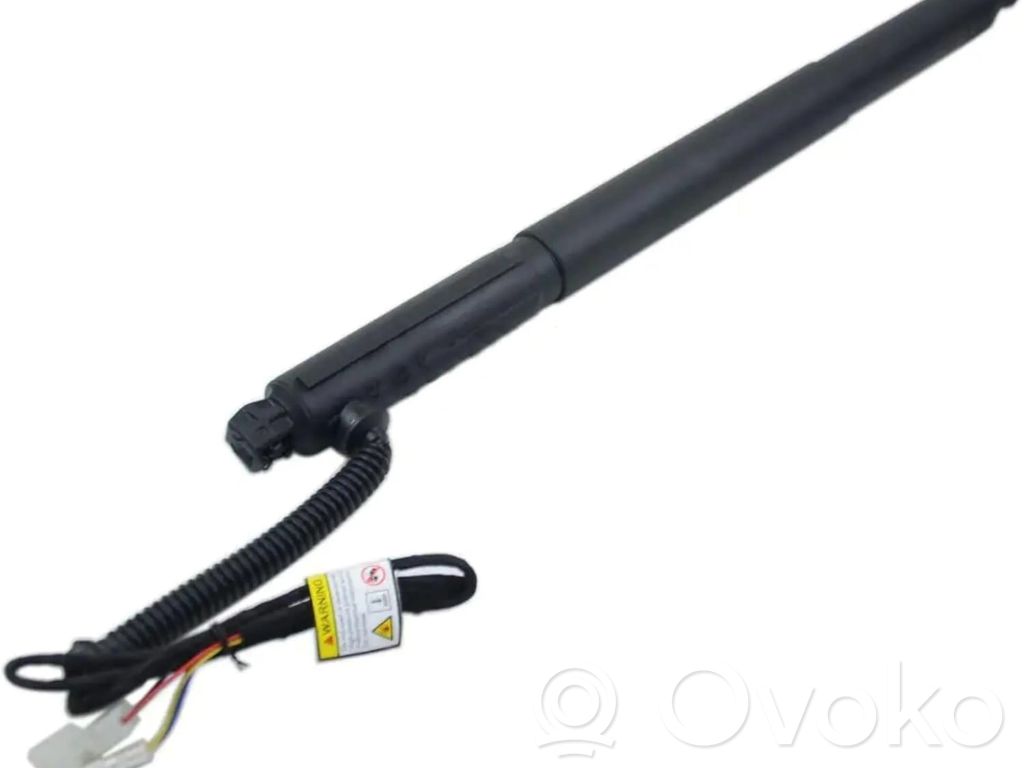 BMW X6 E71 Tailgate/trunk strut/damper 