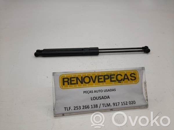 Tailgate/trunk strut/damper