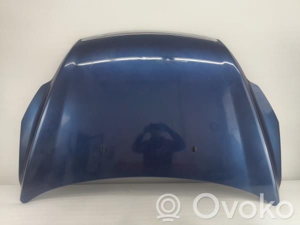 Engine bonnet/hood