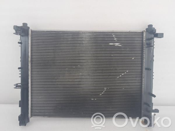 Wasserkühler   214106473R,214100055R,214100078R,214101612R,214102590R,214104225R,214105423R,214105731R,214106179R,214106473R,214106630R,214107326R,8660003460,8660005517,8660005531