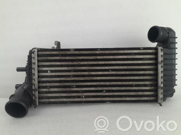 Intercooler radiator   BV619L440CJ