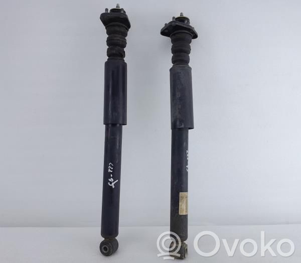 Stoßdämpfer hinten   3413790