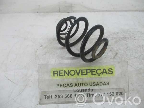 Rear coil spring