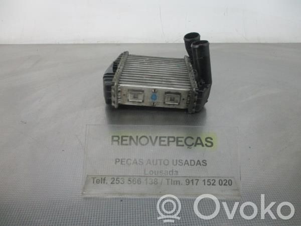 Радиатор интеркулера   0003007V005