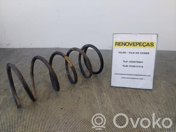 Front coil spring