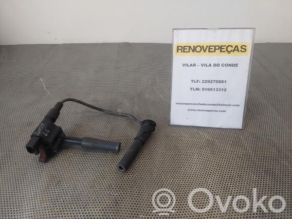 Aukštos įtampos ritė "babyna"   MB029700