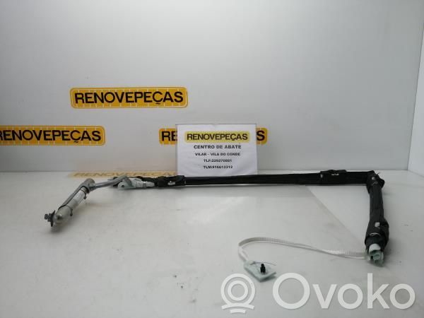 Renault Modus Airbag del techo 