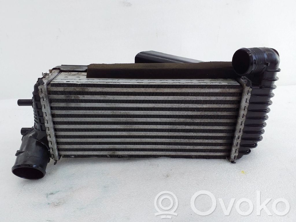 Interkūlerio radiatorius   BV619L440CK