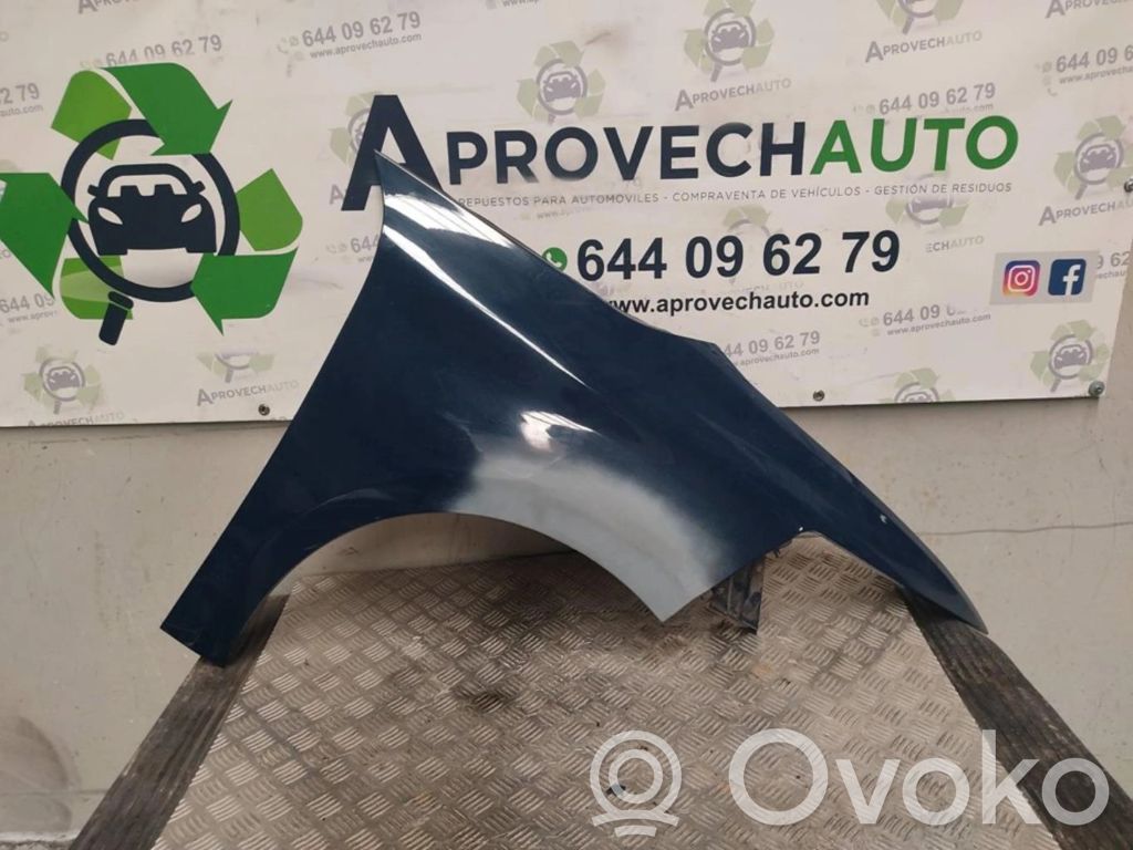 Citroen C4 I Picasso Front arch 
