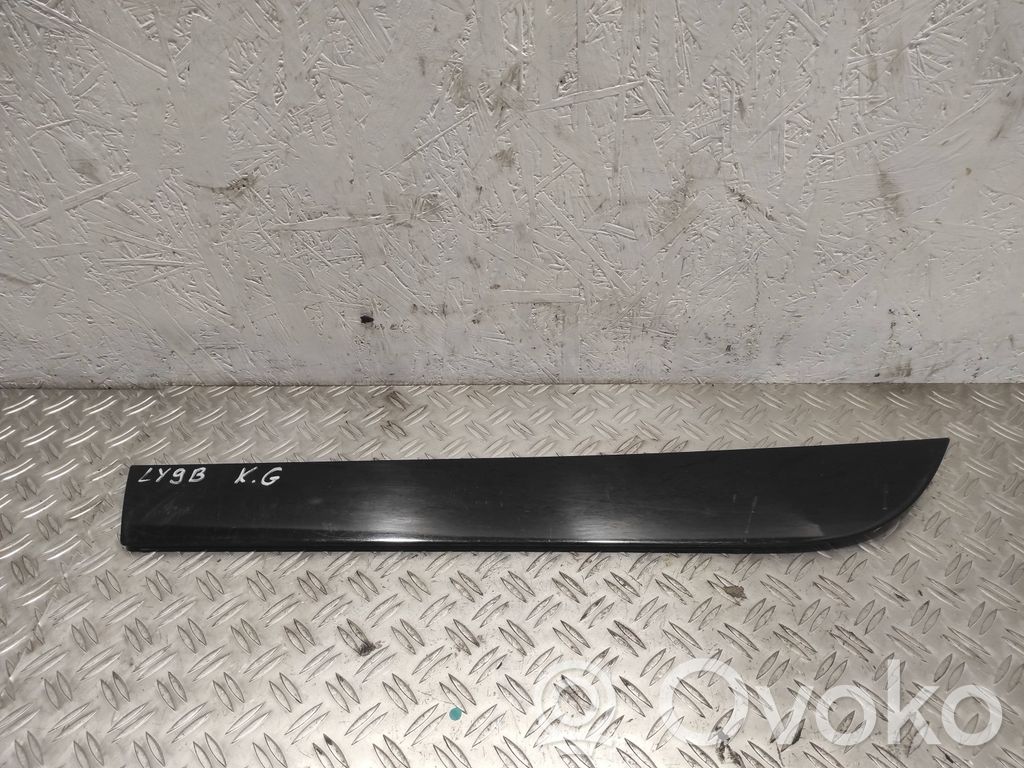 Audi A6 S6 C6 4F Задняя отделка дверей (молдинги) 