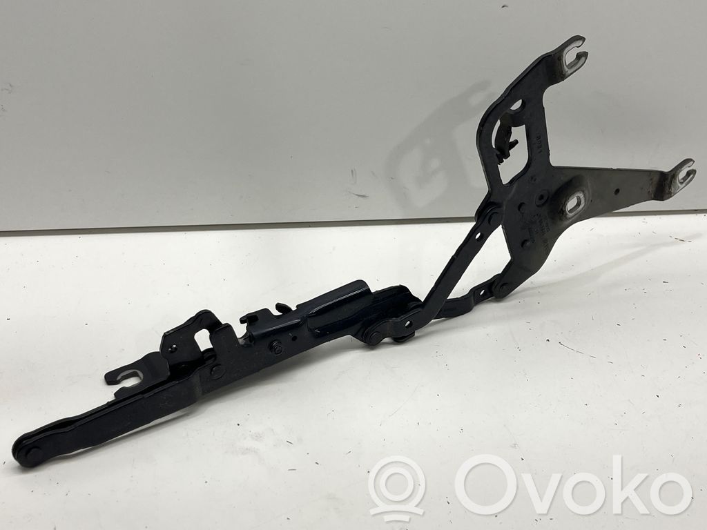 BMW X5 F15 Cerniere del vano motore/cofano 