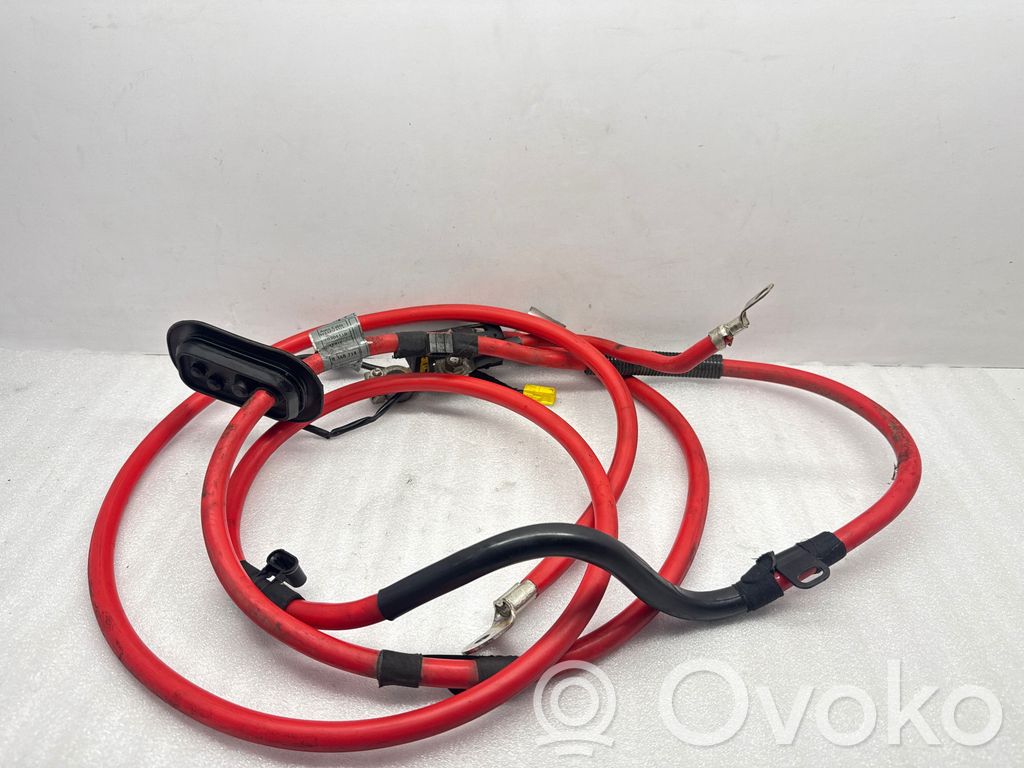 Plusa vads (akumulatora)   8368714,10304410