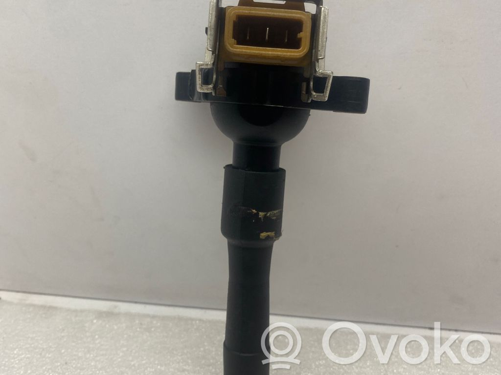 High voltage ignition coil   1748017,11860,211298