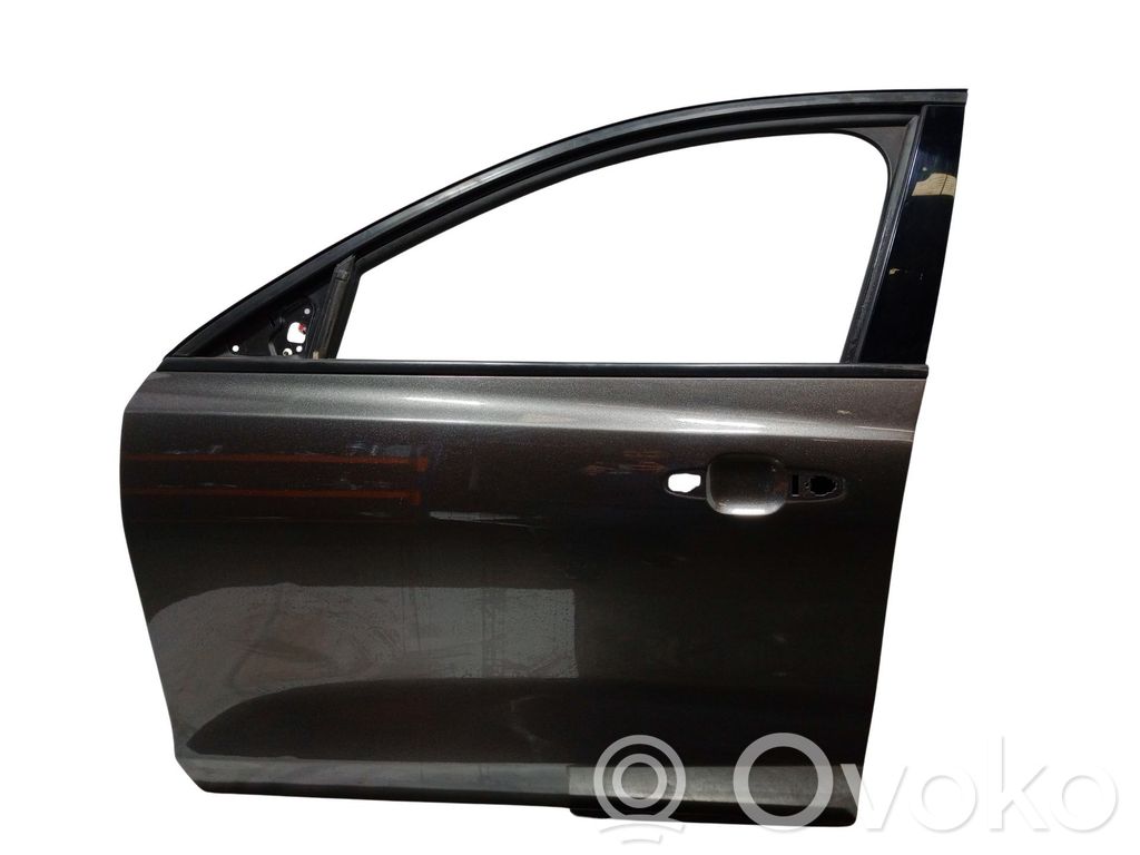 Ford Focus Durvis 