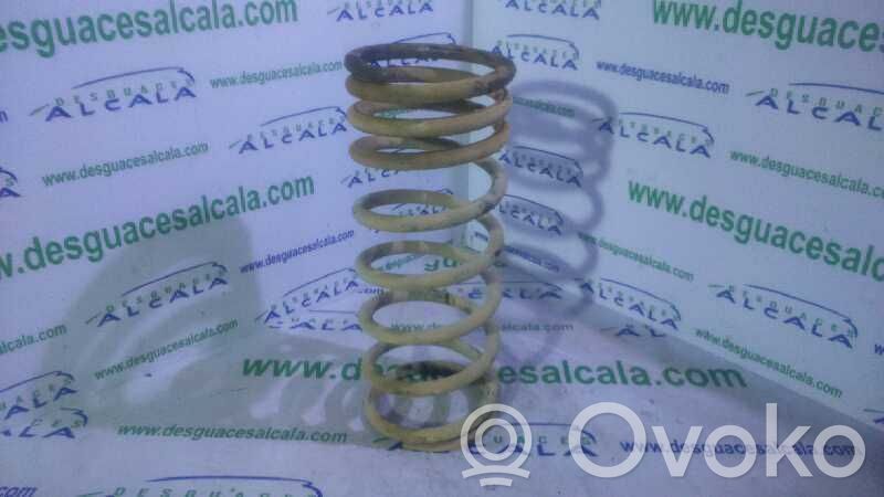 Front coil spring