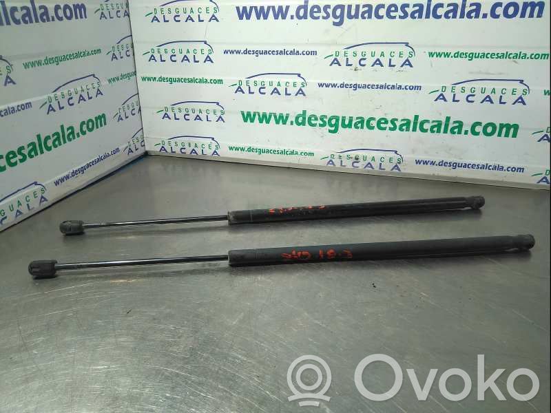 Ford Fiesta Tailgate/trunk strut/damper 