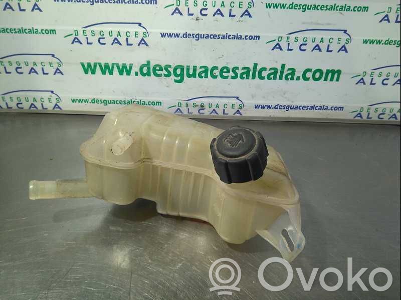 Renault Scenic II - Grand scenic II Vas expansiune combustibil