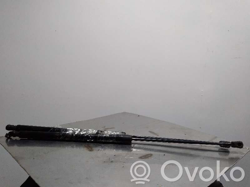 Tailgate/trunk strut/damper   64CM