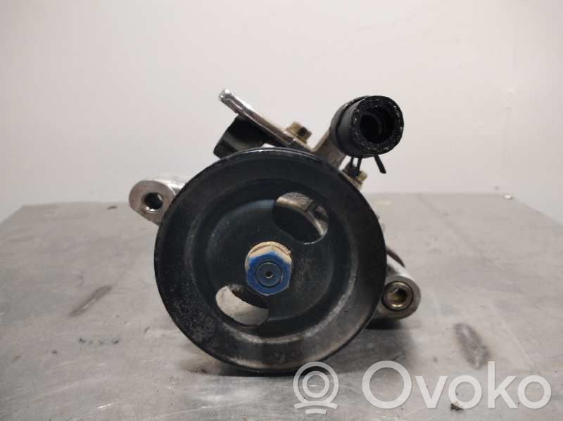 Power steering pump   10CM